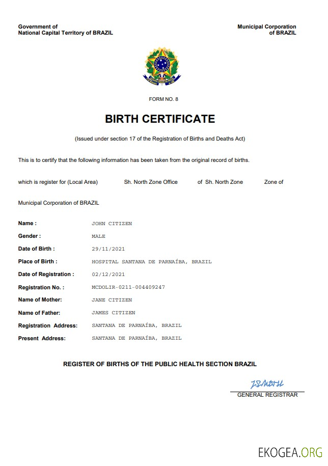 Modèle Word et PDF d'acte de naissance de l'état civil du Brésil